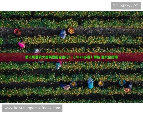 在线看球彩票与数字高频玩法防骗避坑指南